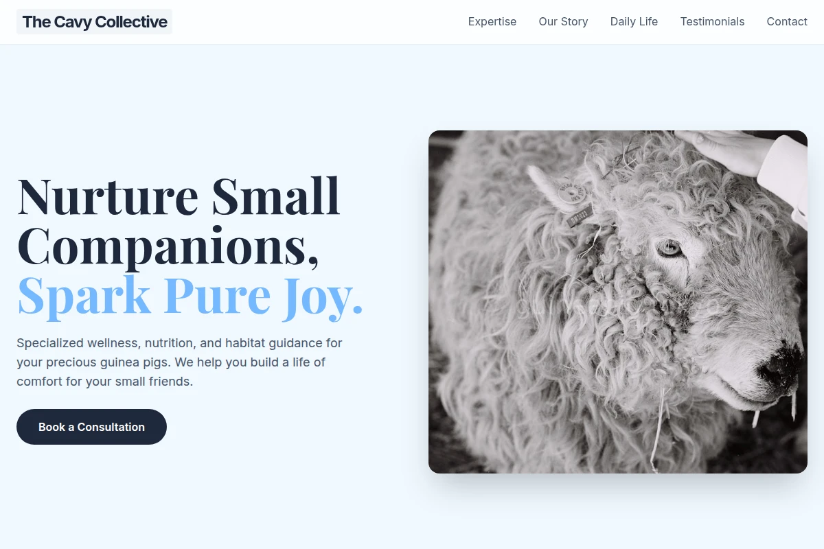 Shibuya Animal Care