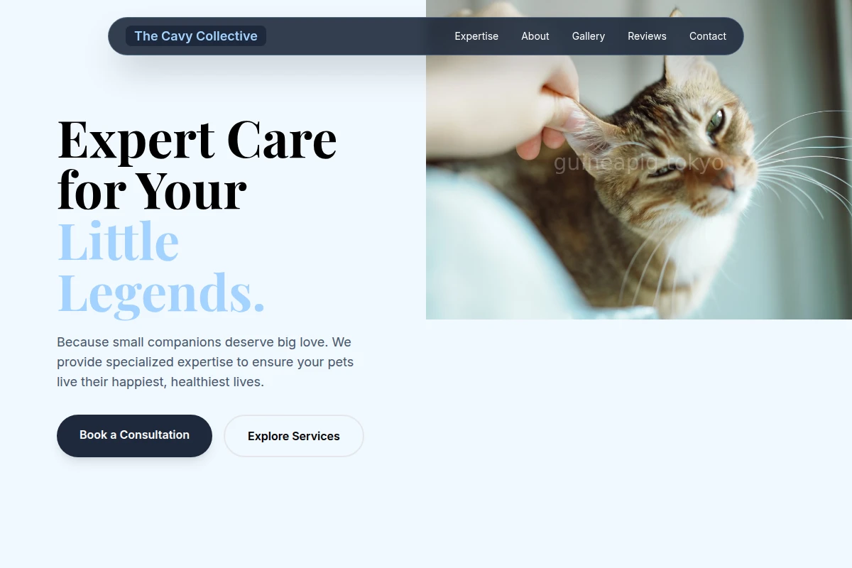 Pet Animal Care