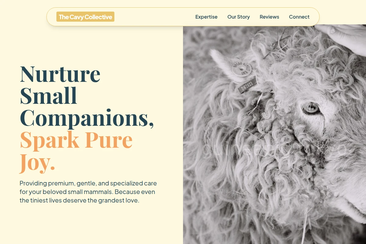Meadow Animal Care