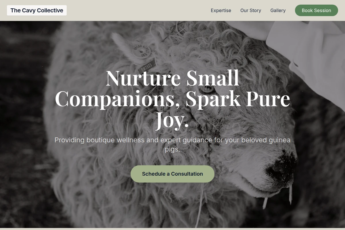 animal-care