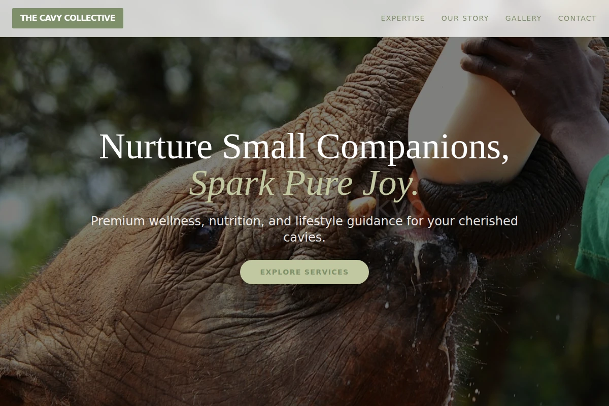 animal-care