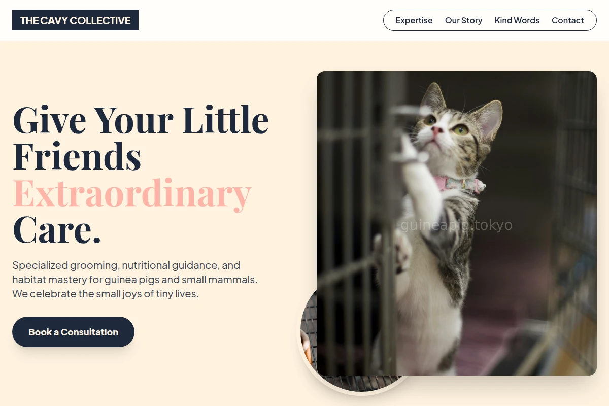 Gentle Animal Care