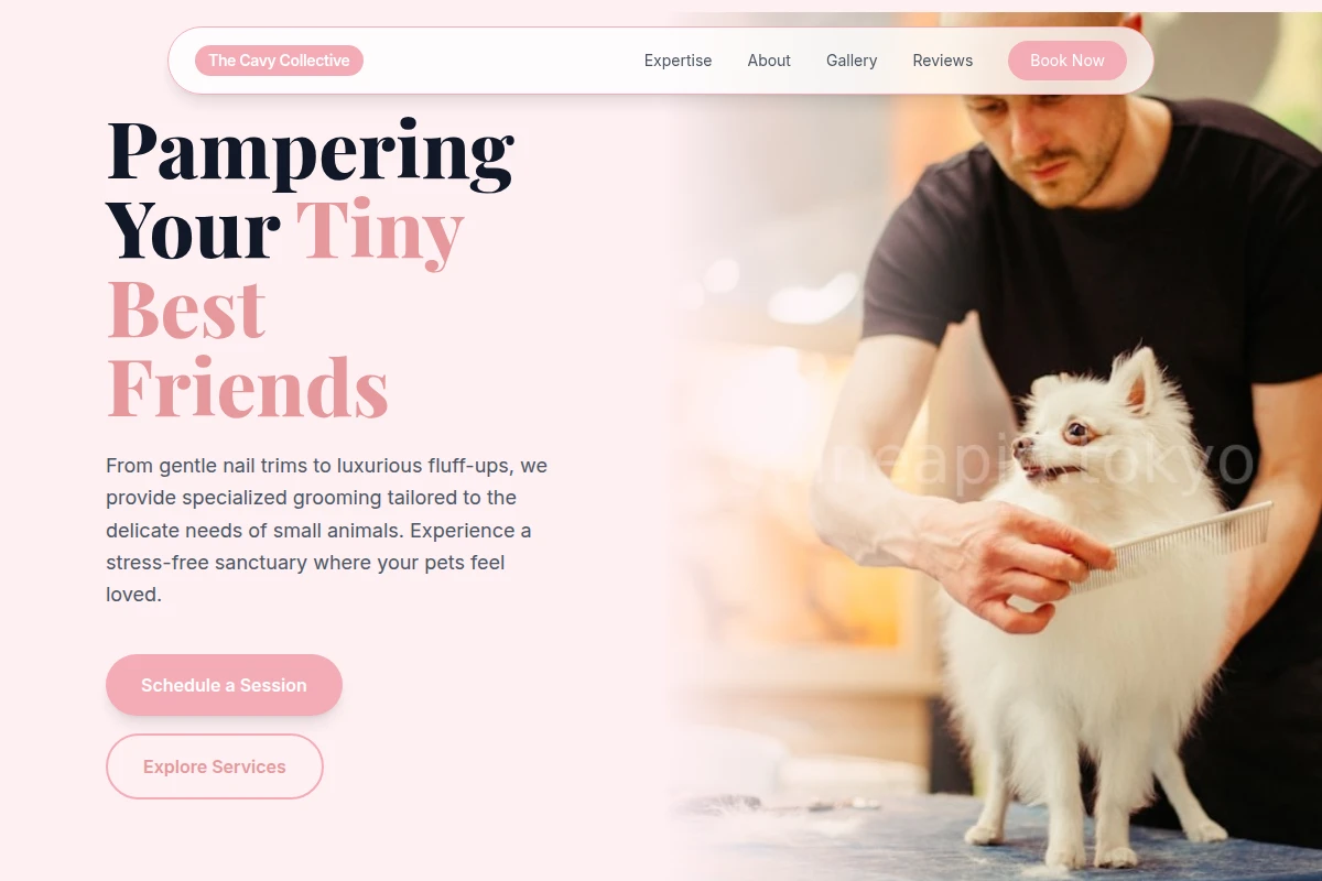 Plush Pet Grooming