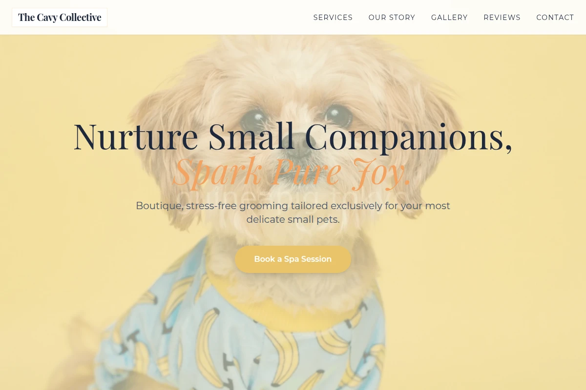 Boutique Pet Grooming