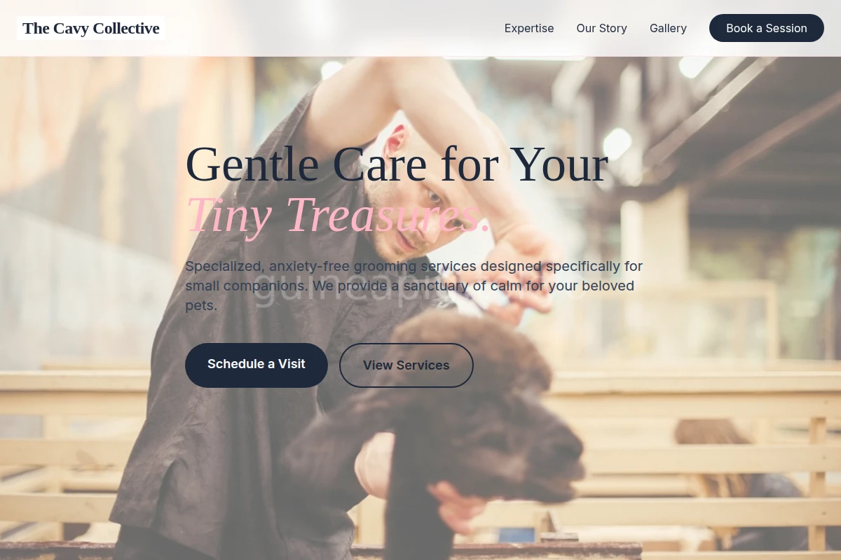 pet-grooming