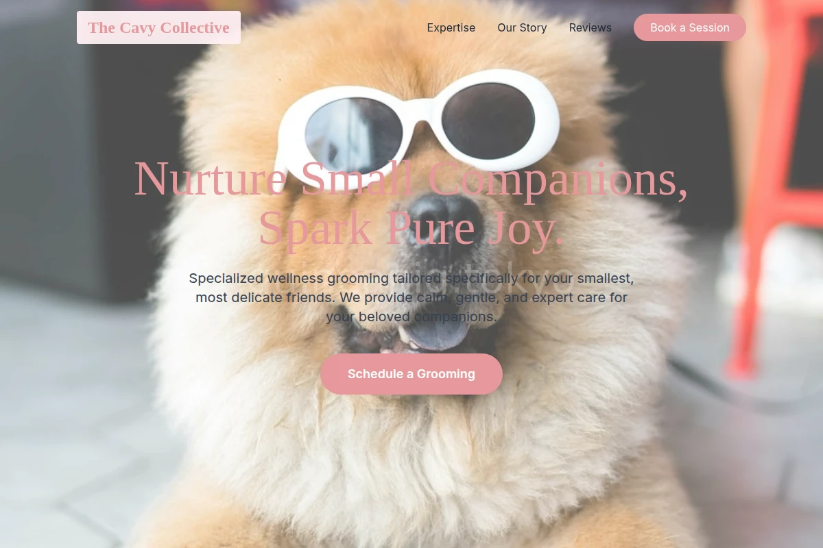 Wellness Pet Grooming