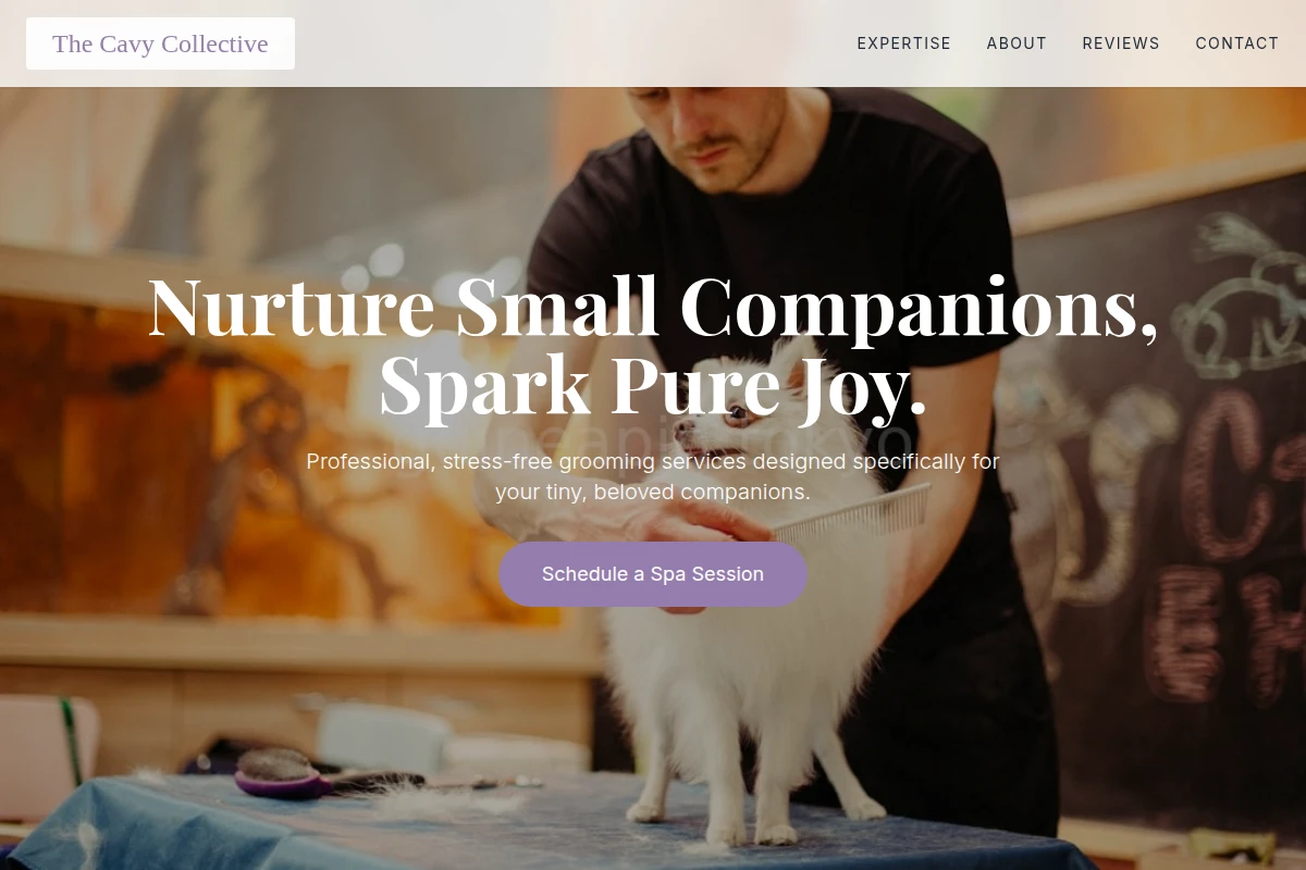 Pet Pet Grooming