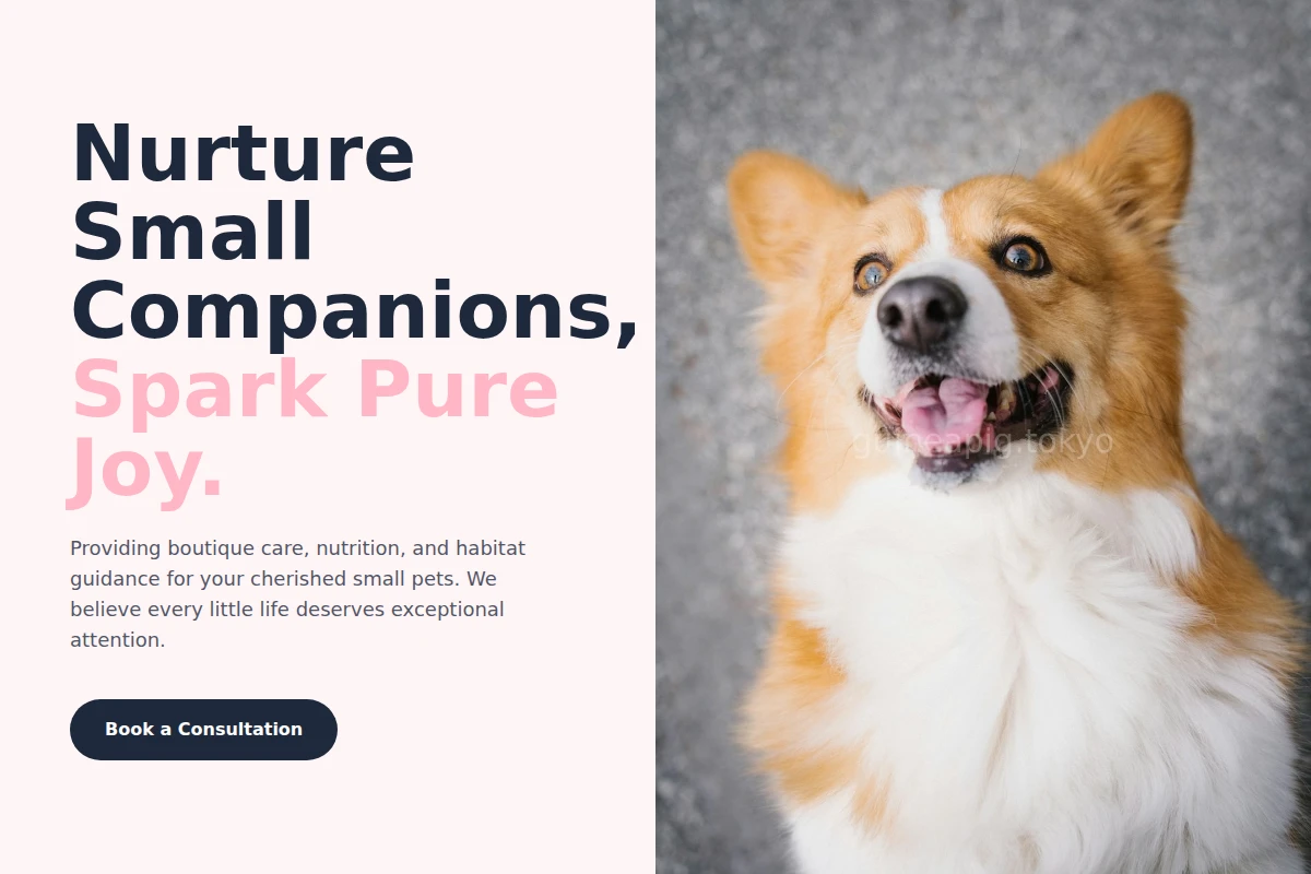 Burrow Pet Services