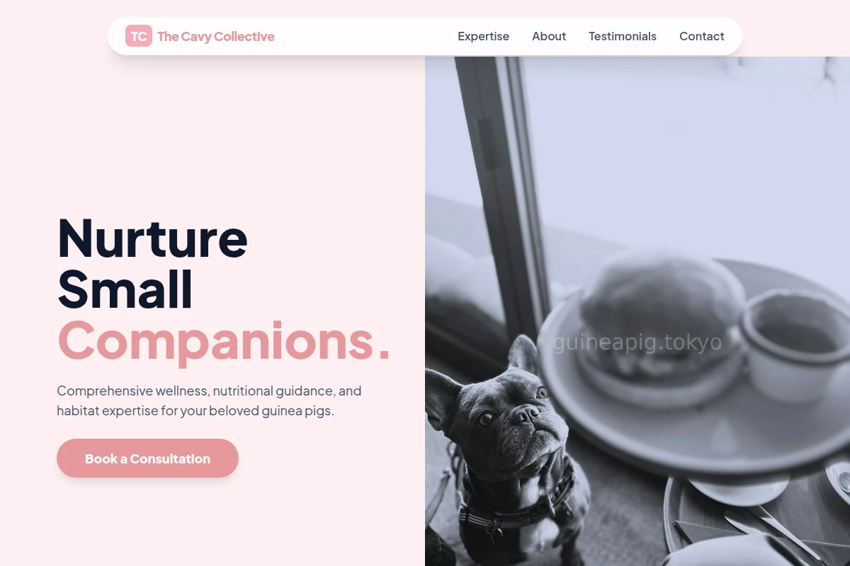 Bloom Pet Services