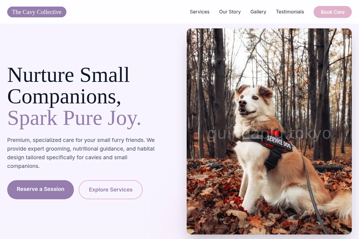 Tiny Pet Services