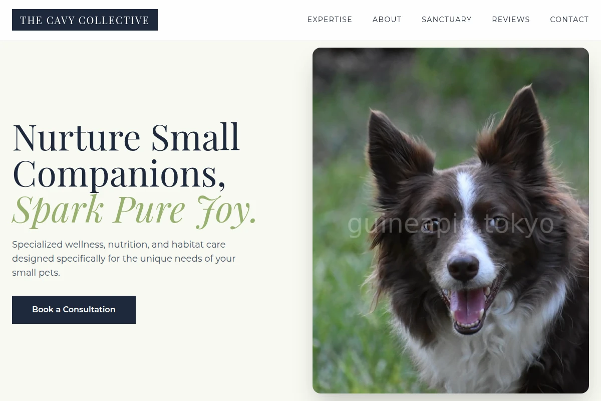 Treats Pet Services