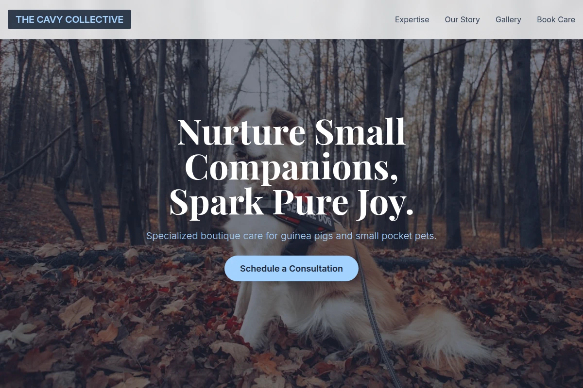 Burrow Pet Services