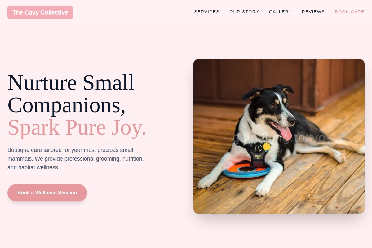 Plush Pet Services