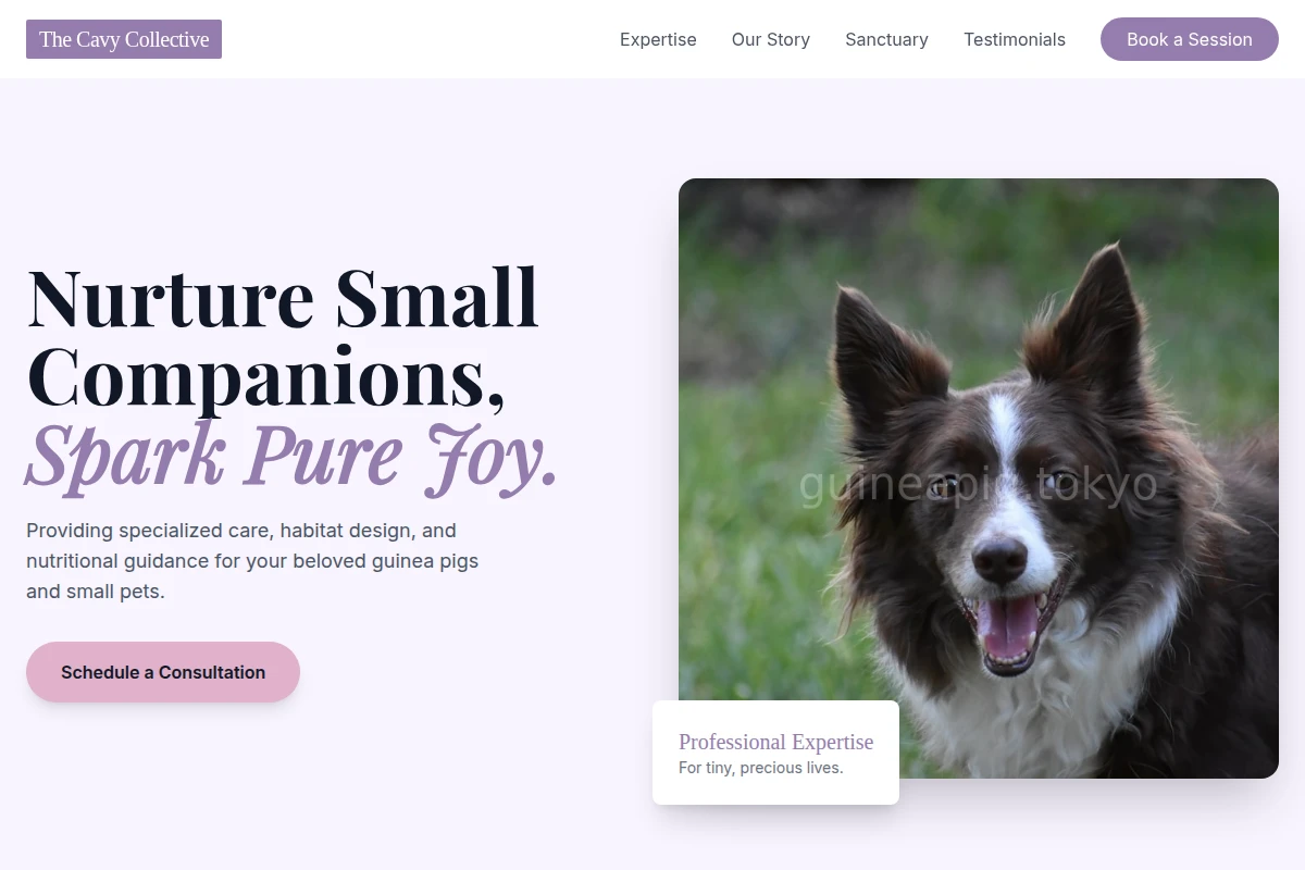 Tiny Pet Services