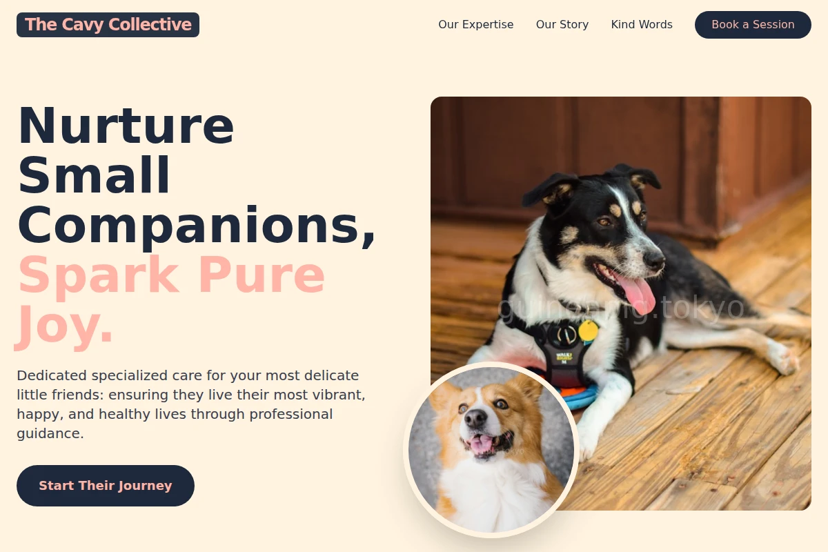 Pure Pet Services