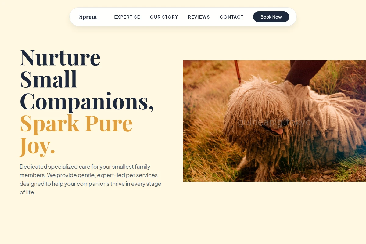 Sprout Pet Services