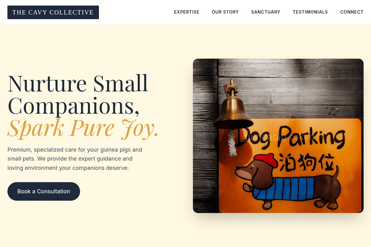 Care Pet Services