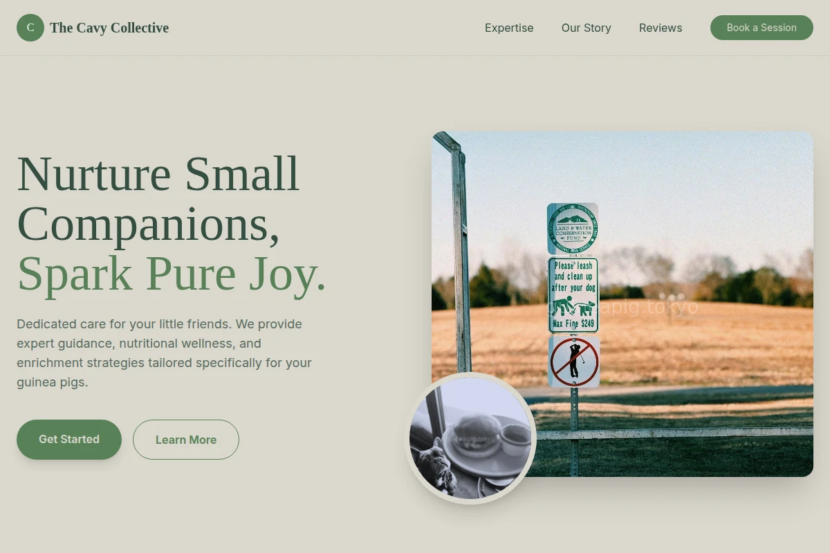 Meadow Pet Services