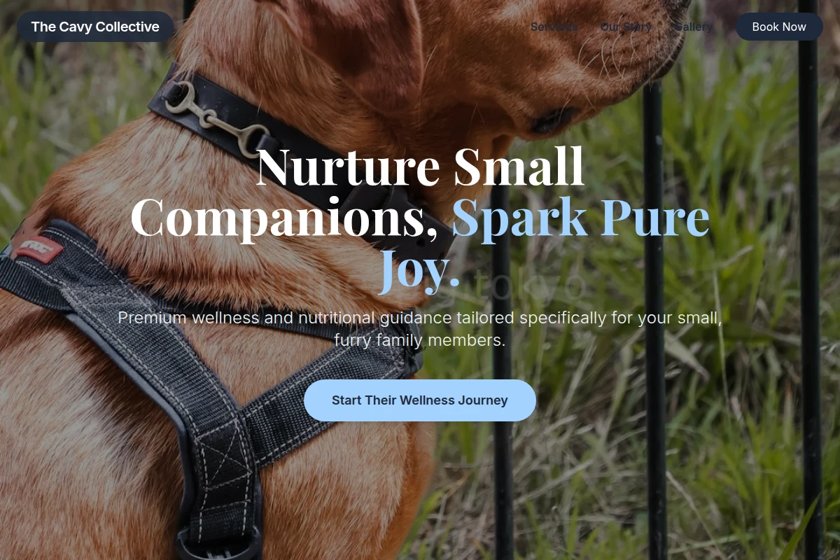 Cute Pet Services
