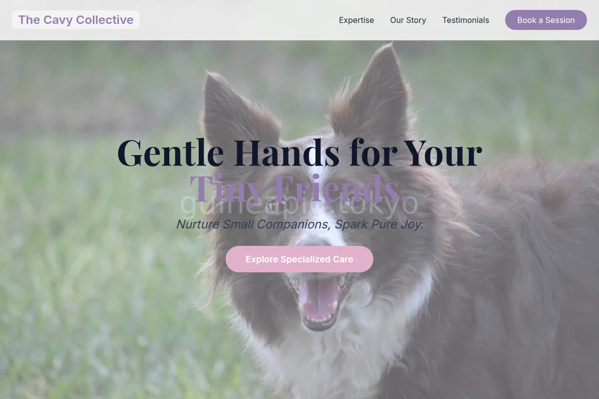 Care Pet Services