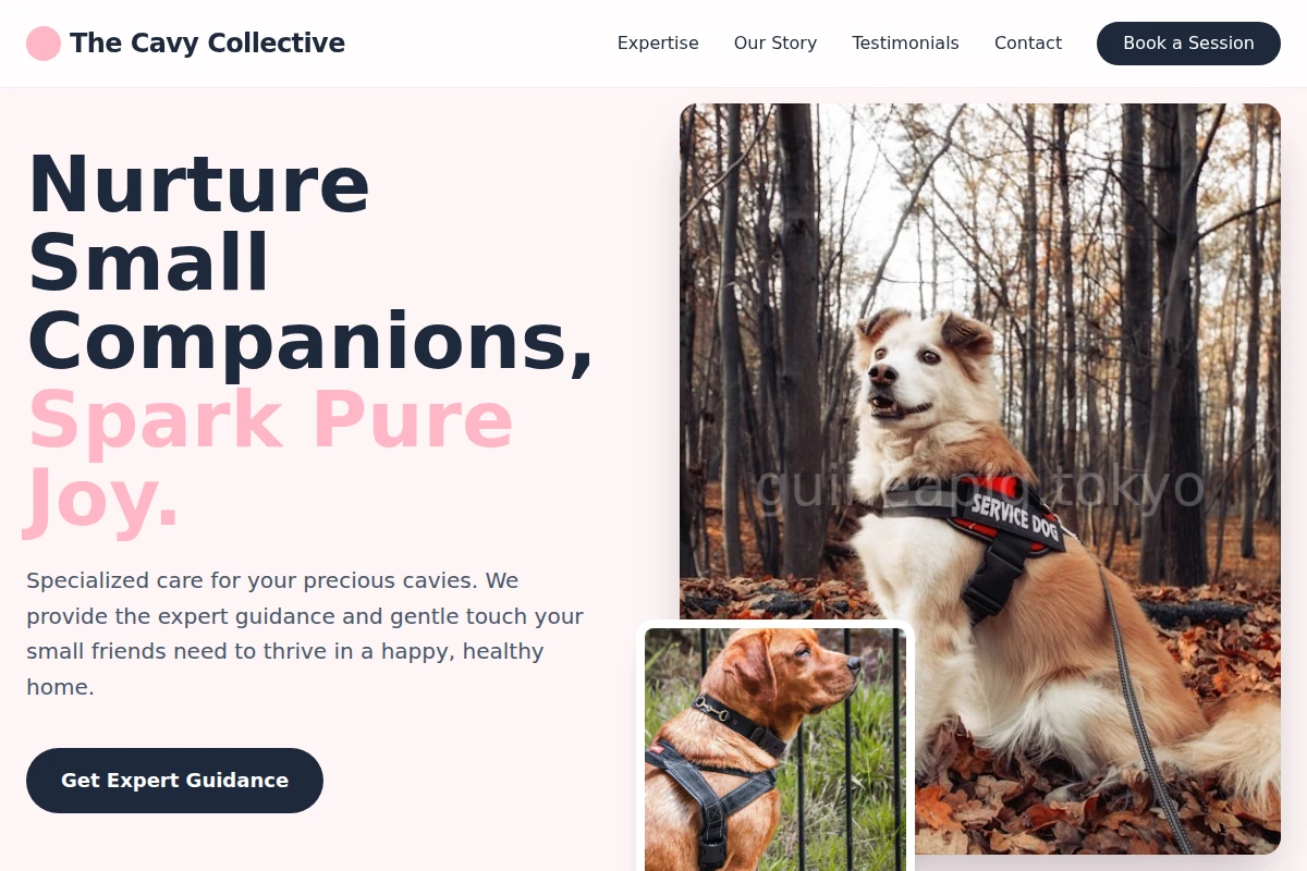 Gentle Pet Services