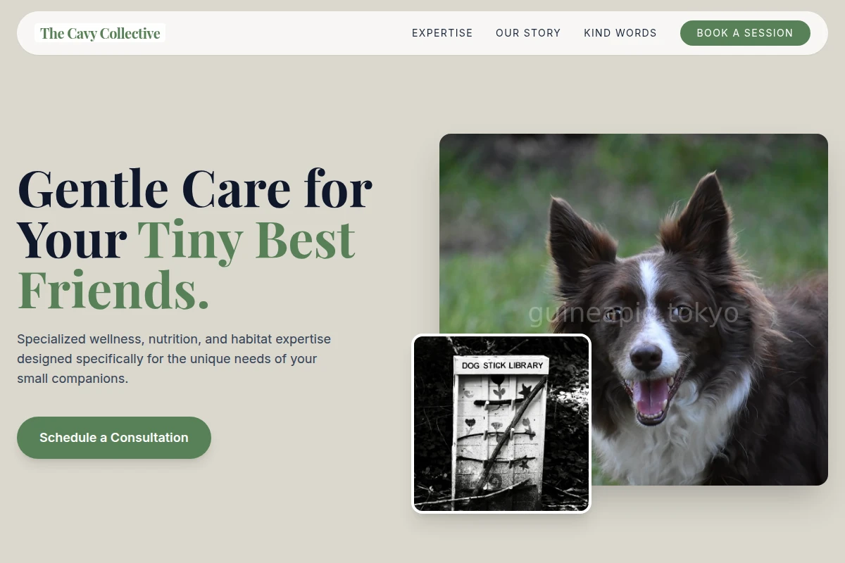 Bloom Pet Services