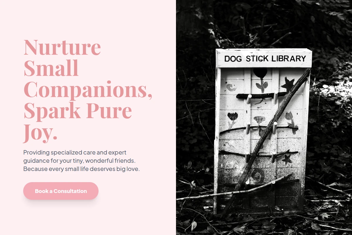 Soft Pet Services
