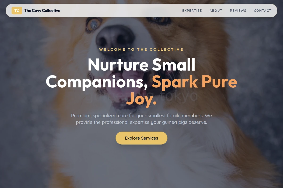 Plush Pet Services