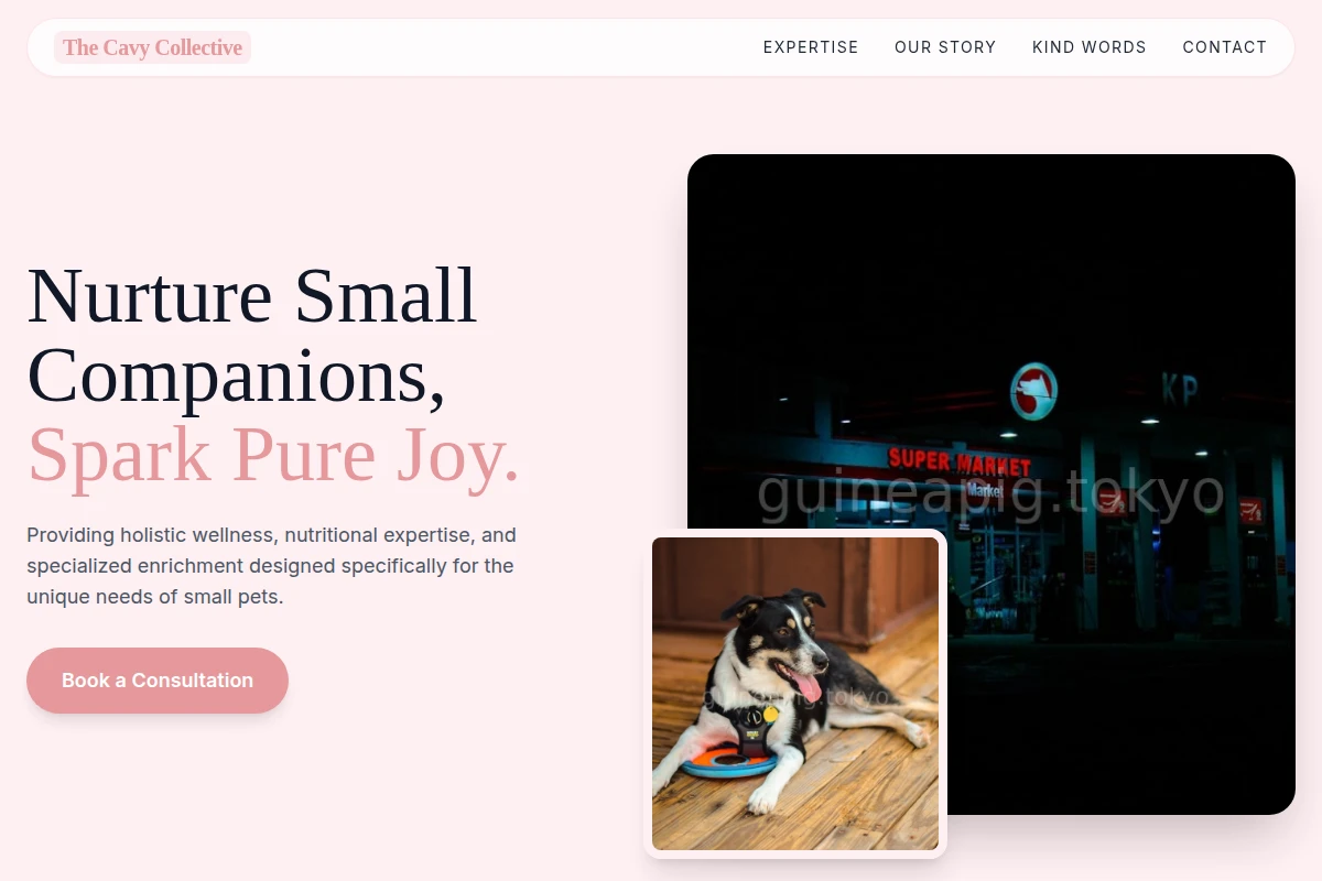 Wellness Pet Services