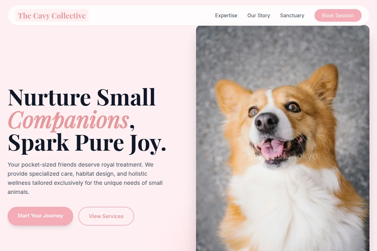 Pet Pet Services
