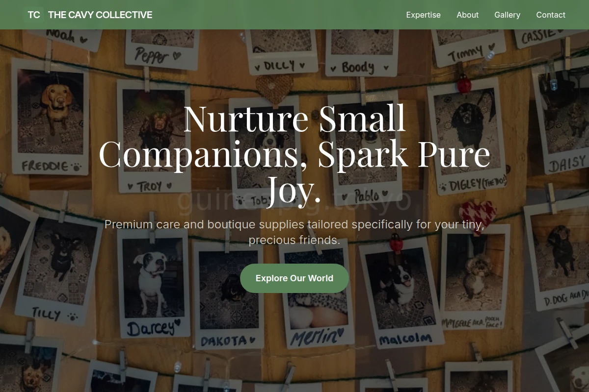 Boutique Pet Shop
