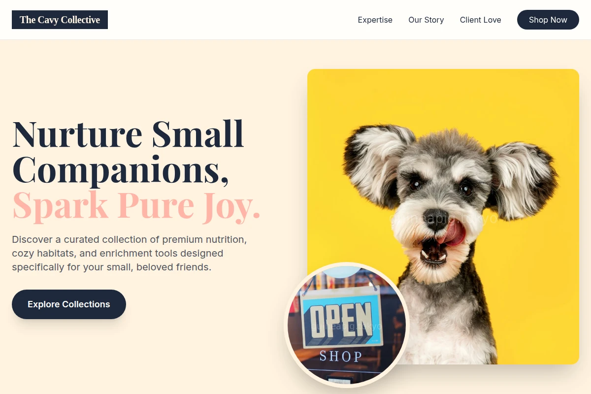 Curated Pet Shop
