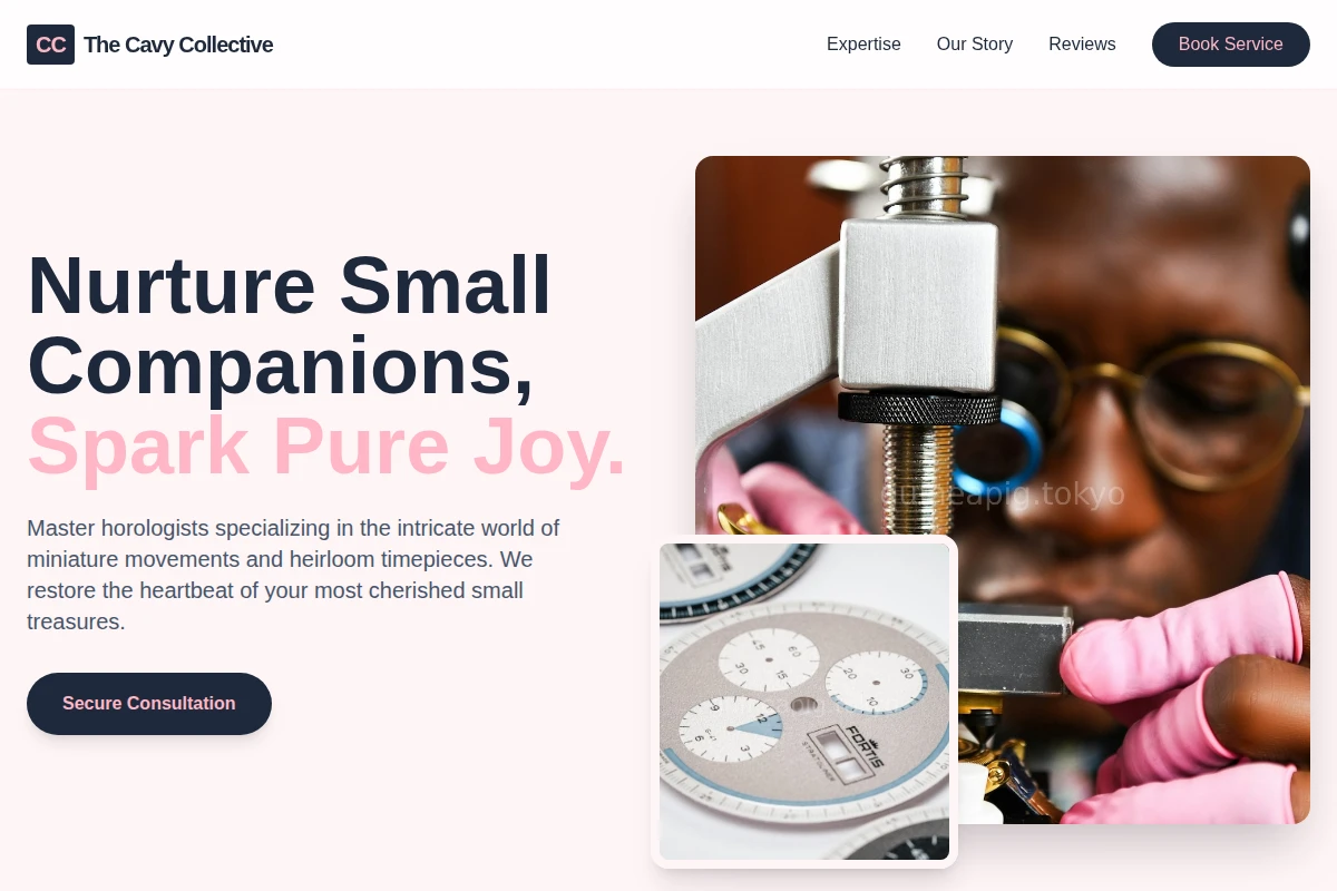 Care Watchmaker
