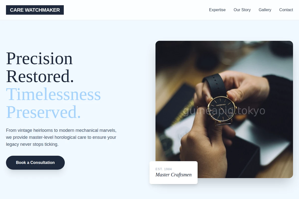 Care Watchmaker
