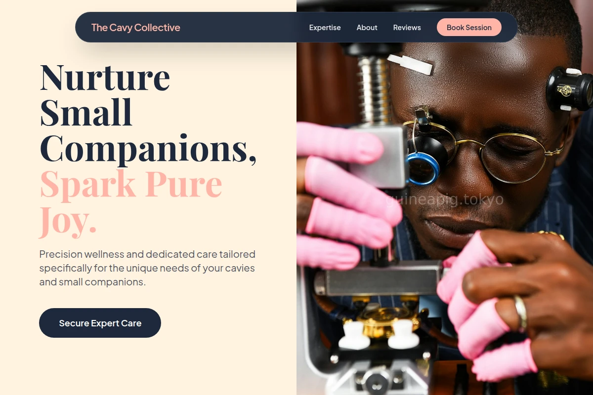 Wellness Watchmaker